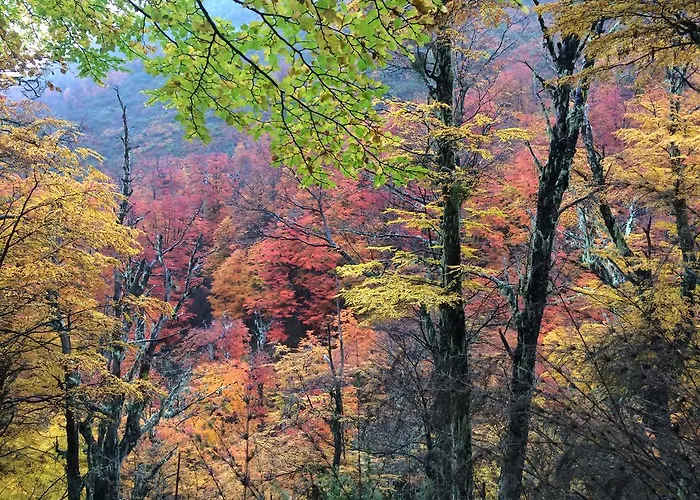 Altos de la Montaña